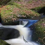 Murmurer l'automne ... (Huelgoat)