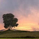 Te laisser m'éblouir ... (Chaynat)