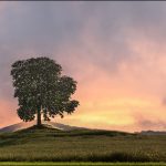 Eblouir l'instant ... (Cheynat)