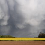 Retenir son souffle ... (Sainte-Hermine)