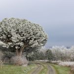 Te sentir frissonner … (La Réorthe)